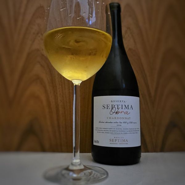 Séptima Obra Reserva Chardonnay 2024, fotografia da casa